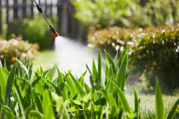 24/7 Emergency Mosquito Control experts in Mitchell, NE